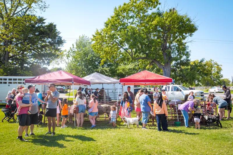 Families gather around the petting zoo pens under red canopies.